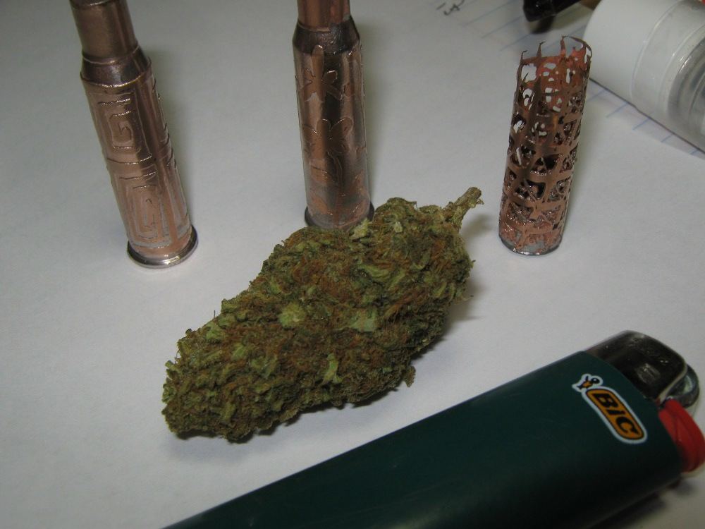 Harleybud