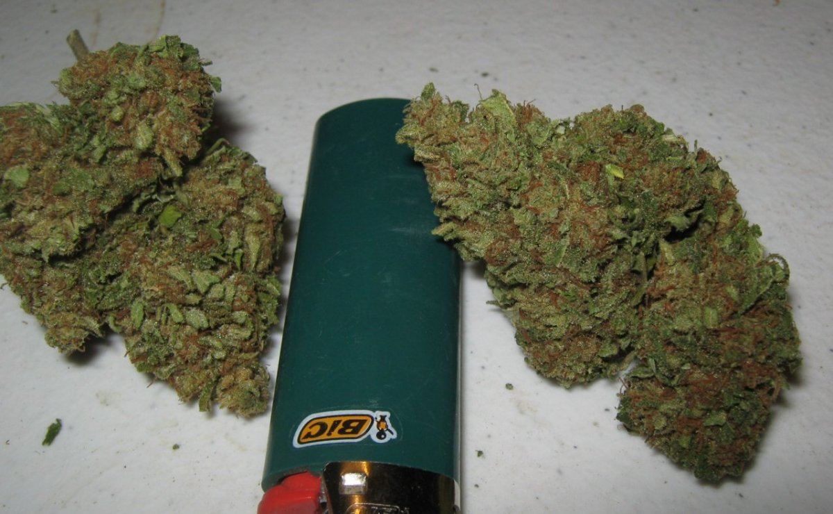 Harleybuds6 24