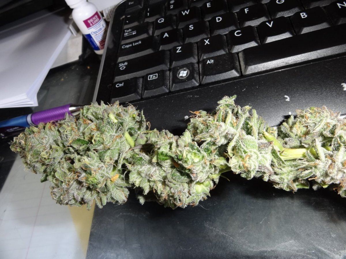 Harvest 010