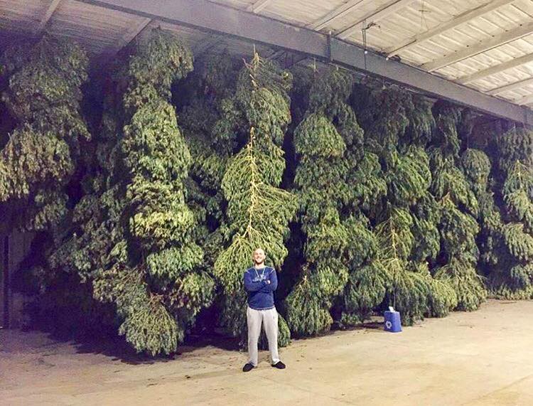 Harvest
