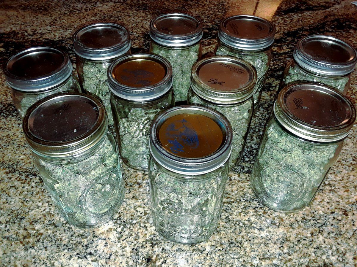 HArvest