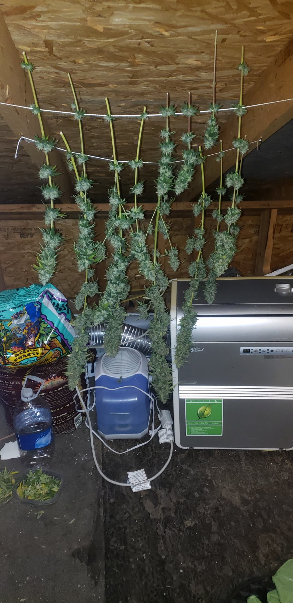 Harvest plant 2 3
