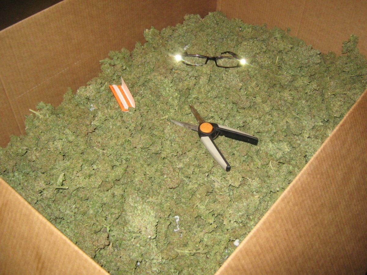 Harvest6 18