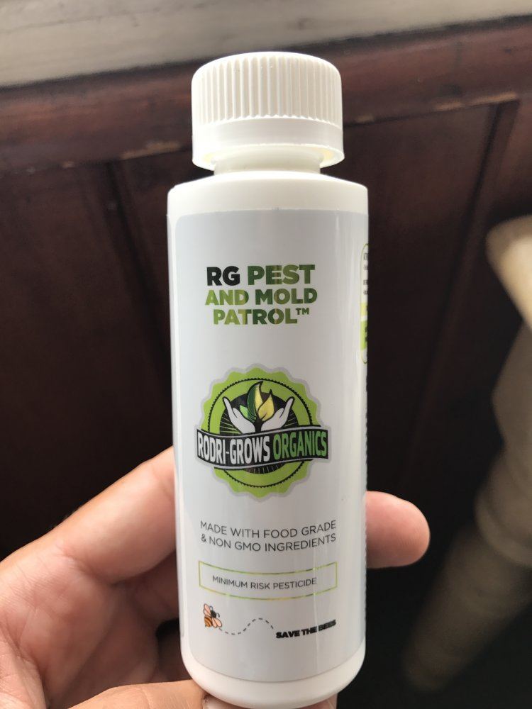 Has anyone used rg pest and mold patrol
