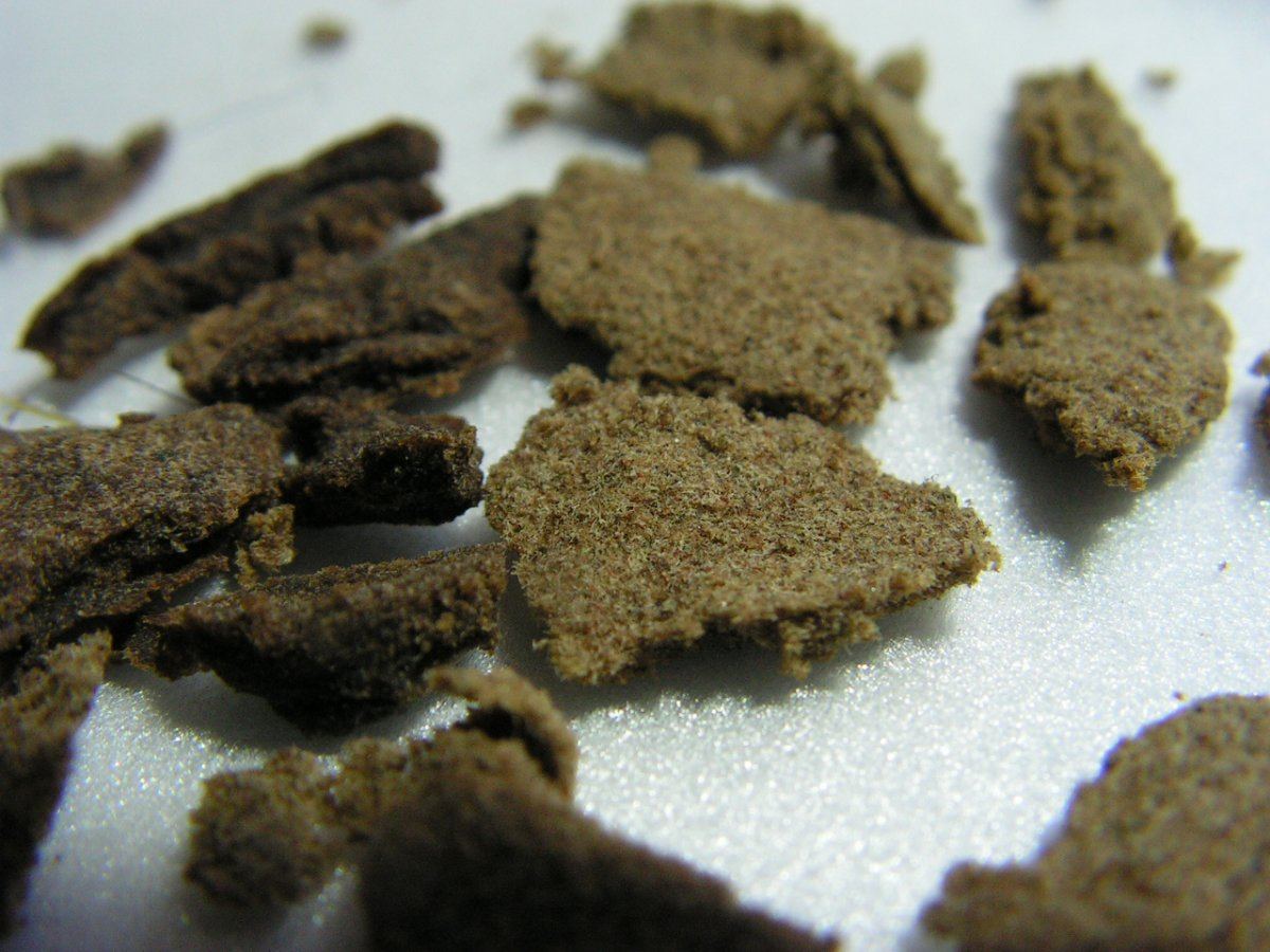 Hash 1