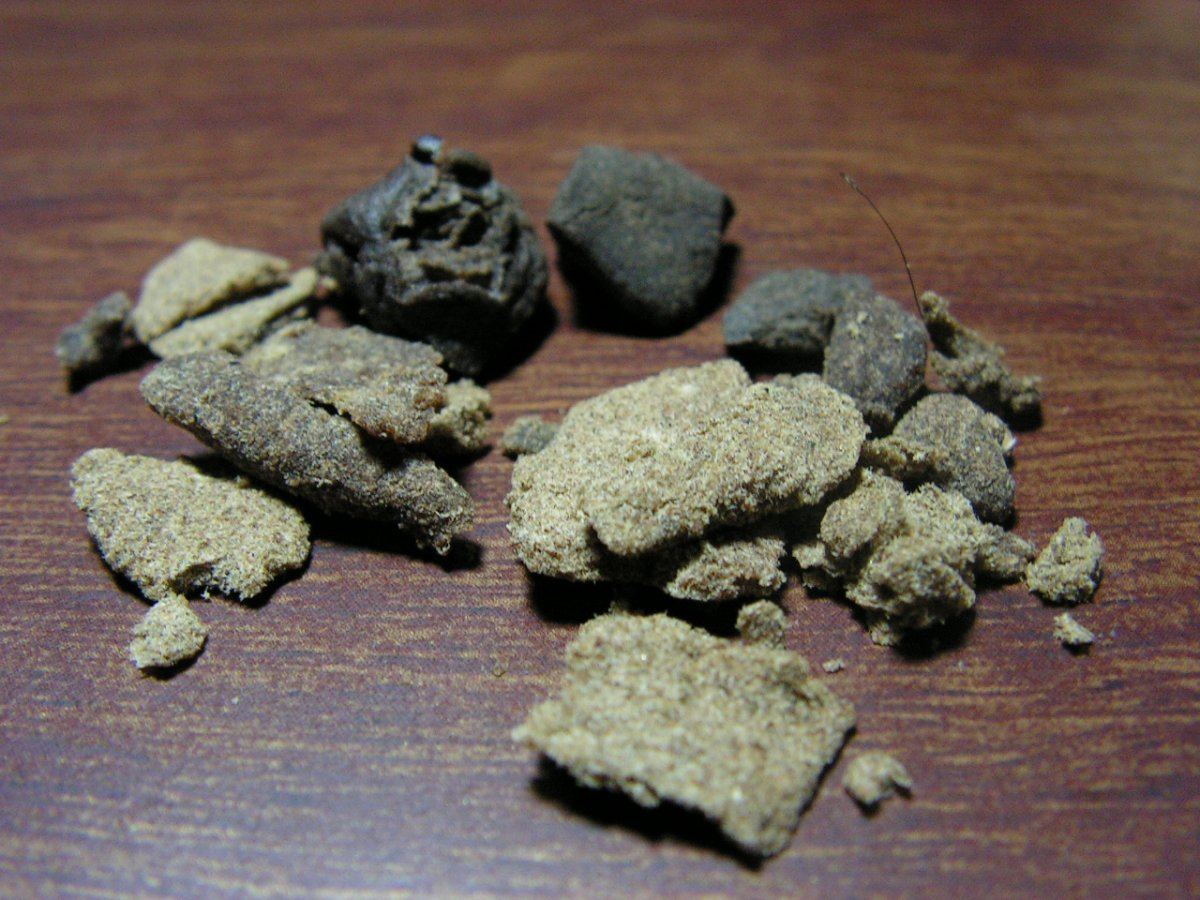 HASH 10