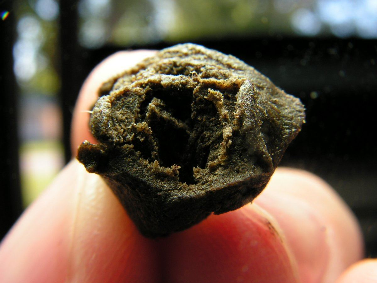 HASH 9