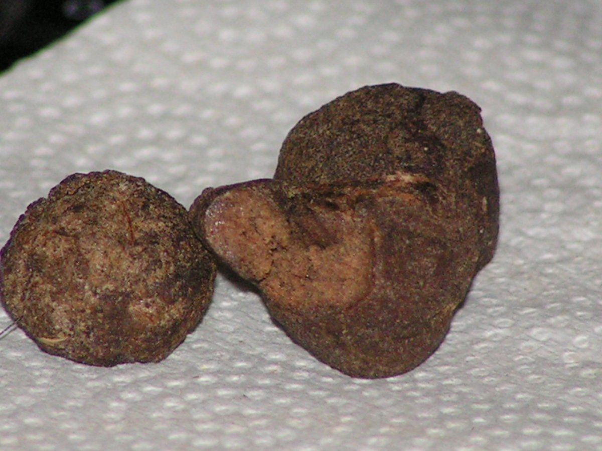 HASH BALL GOODNESS
