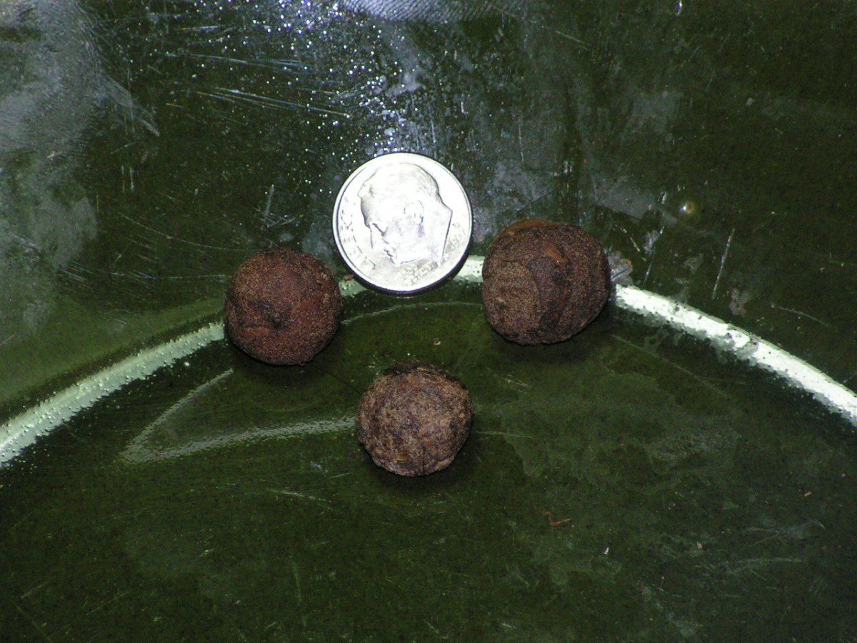 HASH BALLS X3