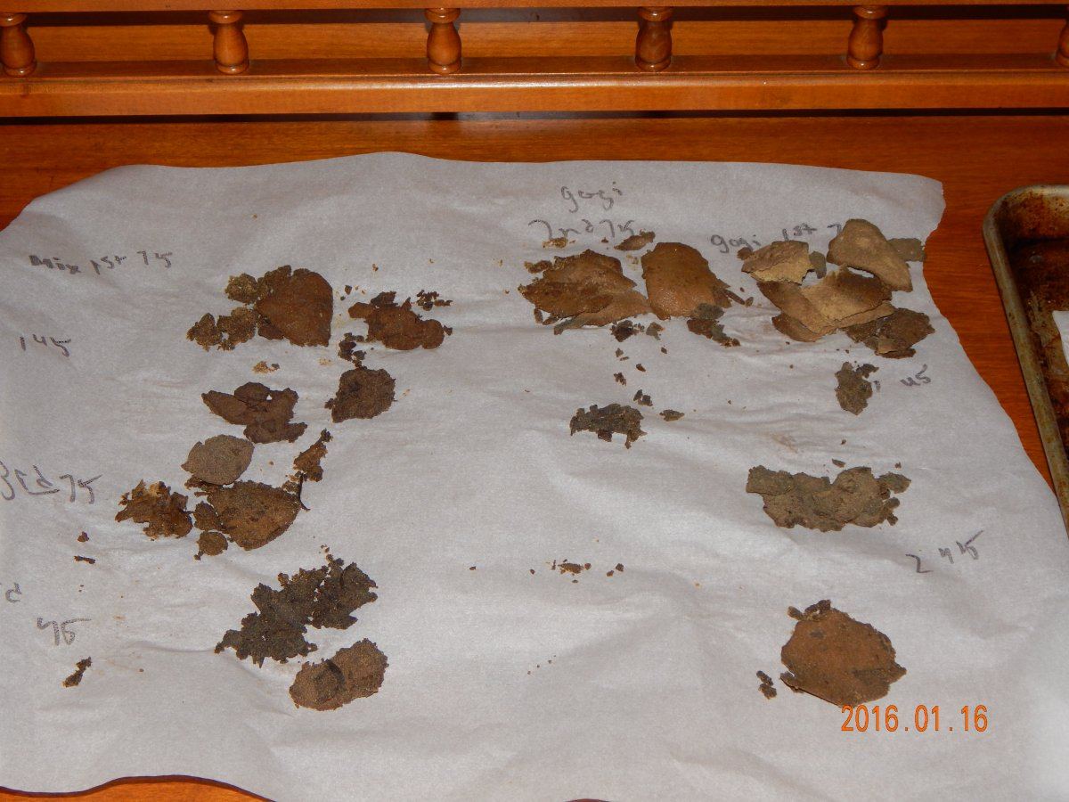 Hash n pics 001