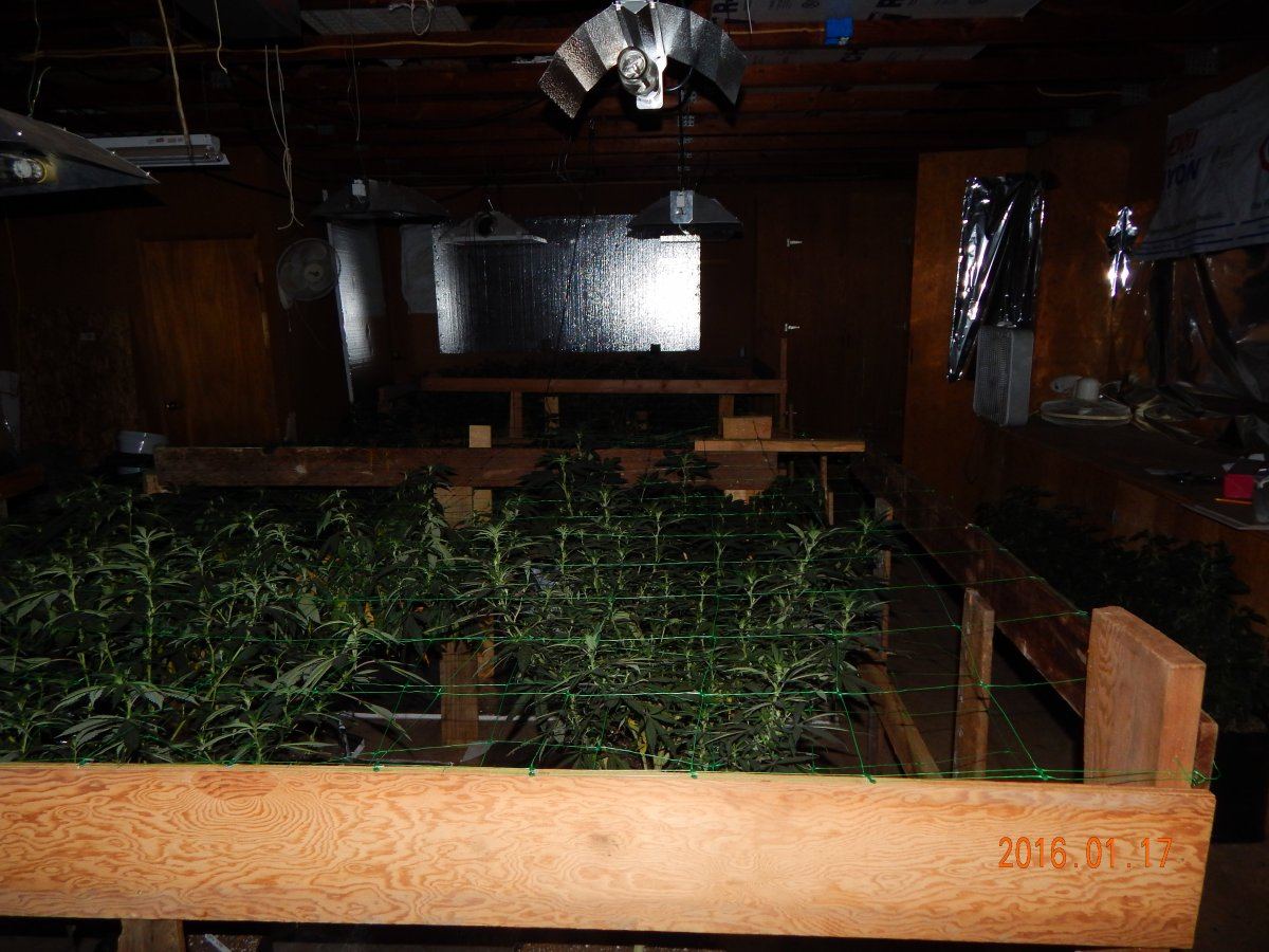Hash n pics 008