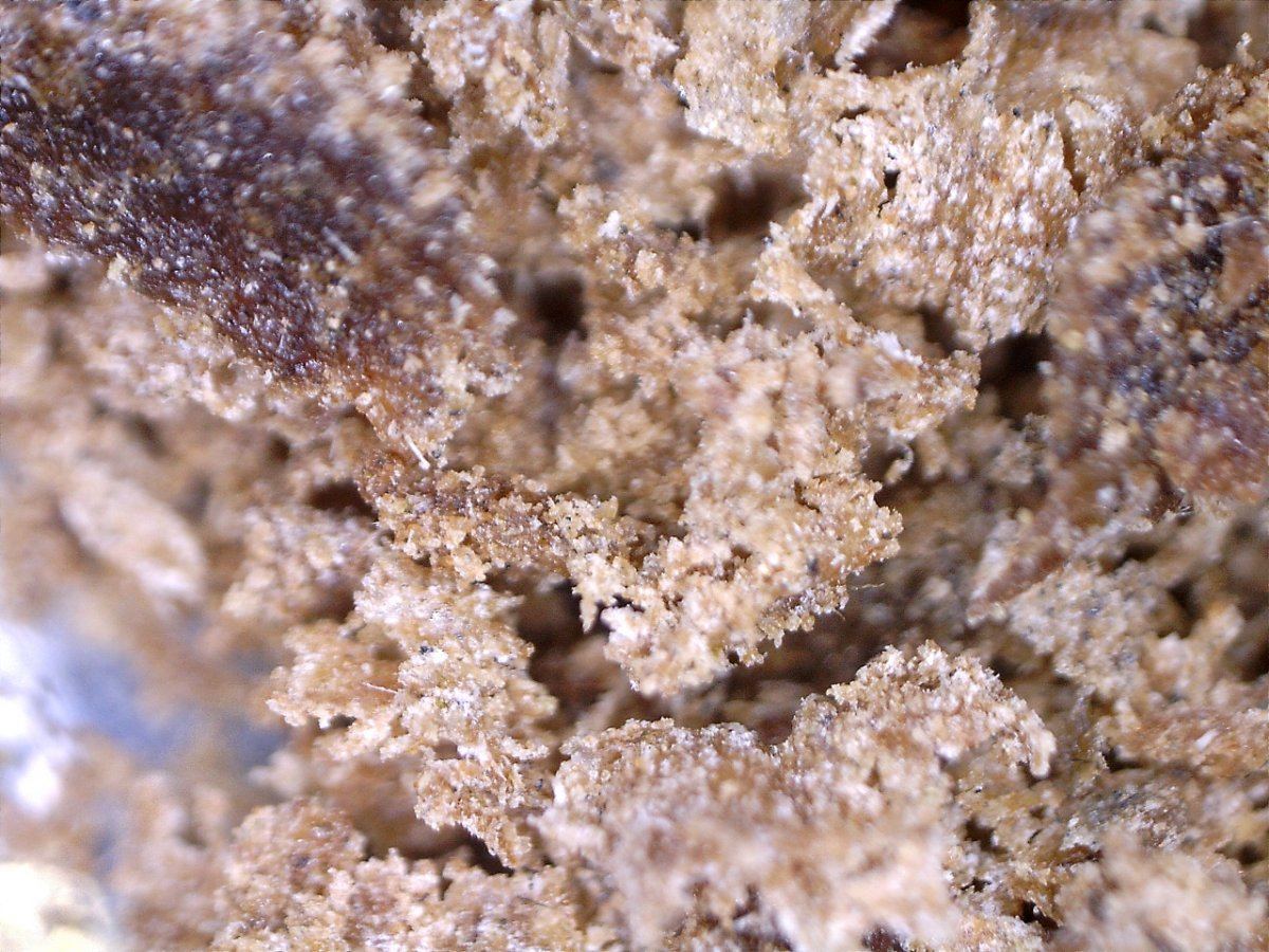 Hash2 200x