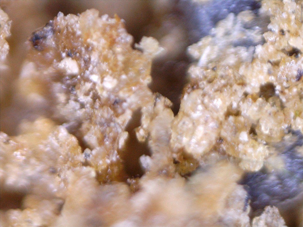 Hash200x