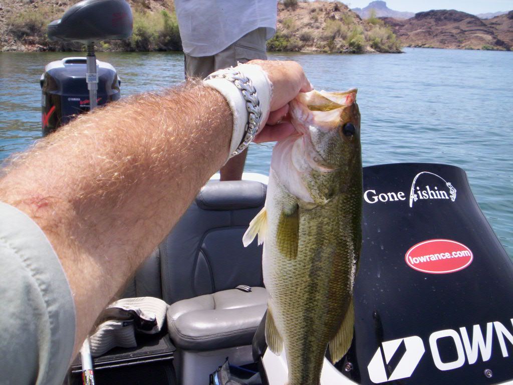 Havasu 6 30 2007 006