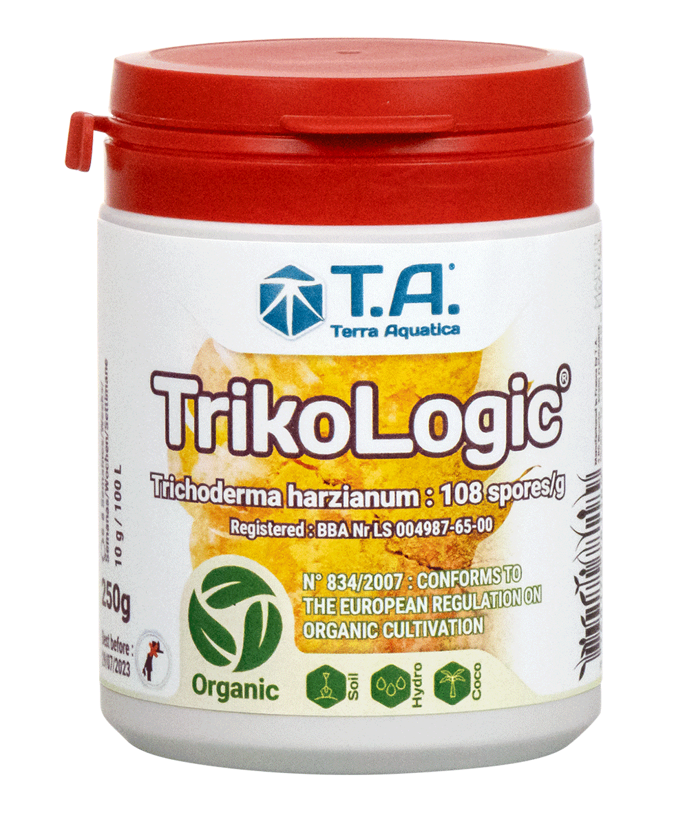 Have anyone used ta trikologic and is it any good