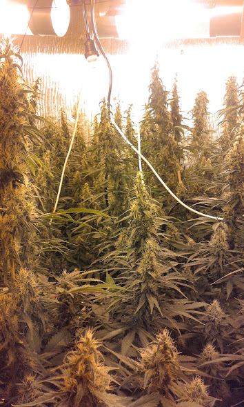 Haze indoor