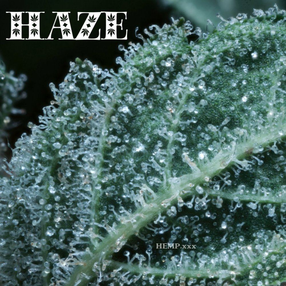 HAZE