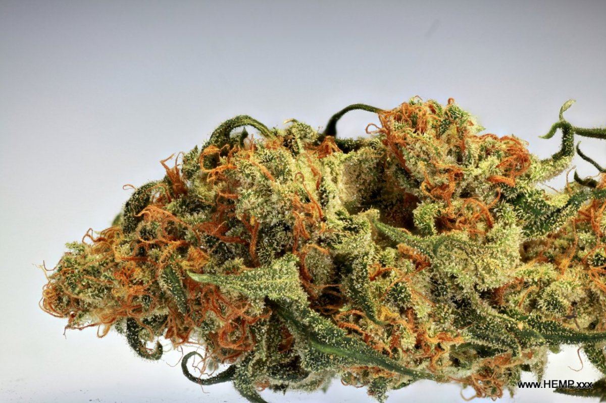 HAZE