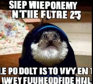 Hdntdnmj