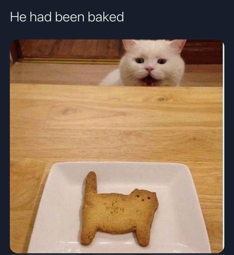 He had been baked