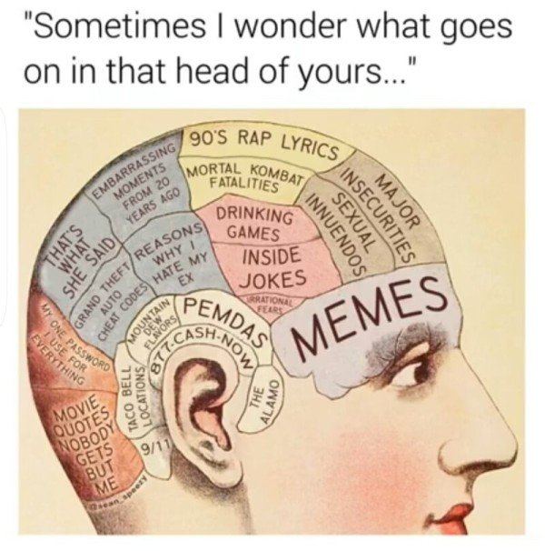 HeadCase