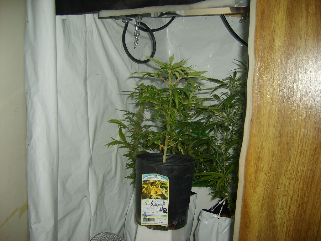 Heat problem 09 013