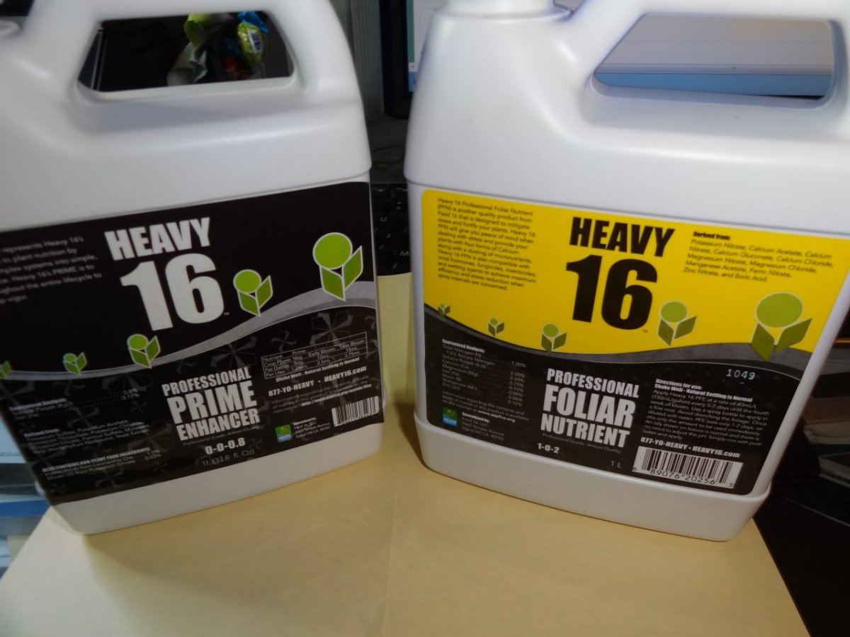 Heavy 16 010