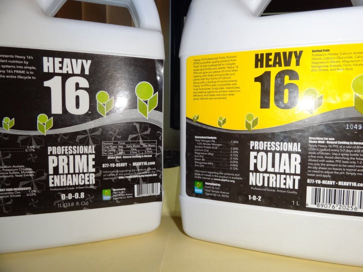 Heavy 16 011
