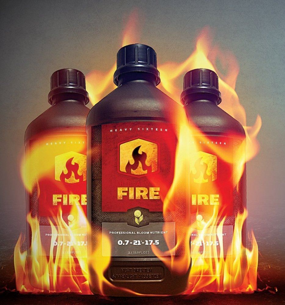 Heavy16 Fire1
