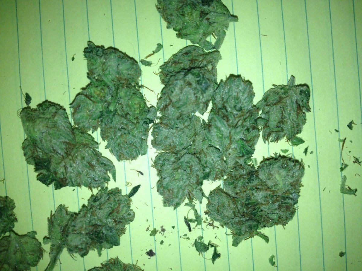 Hells angels OG 2