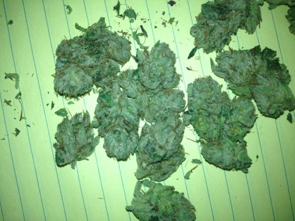 Hells angels OG