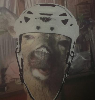 Helmet