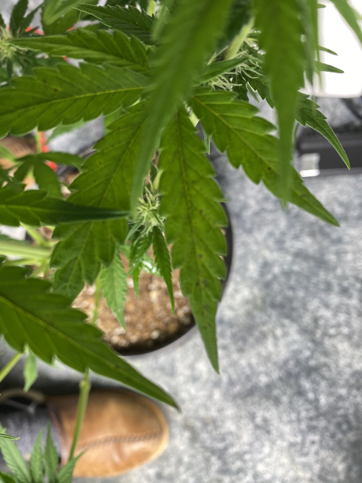 Help a beginner out 3