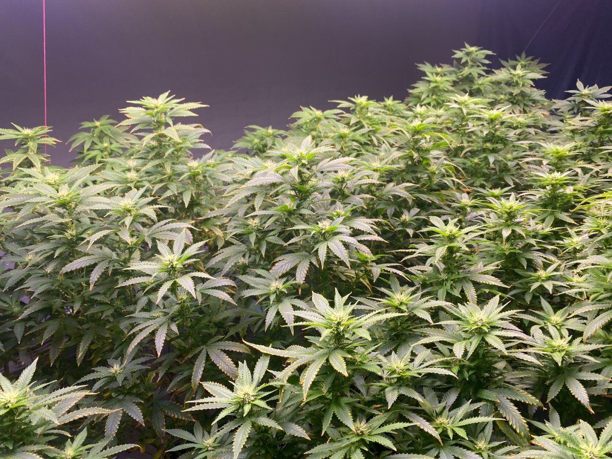 Help a newbie help to diagnose this issue 3