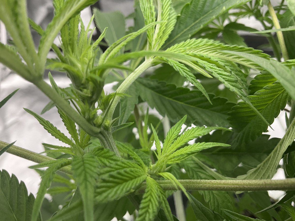 Help identify if this is male or female 8