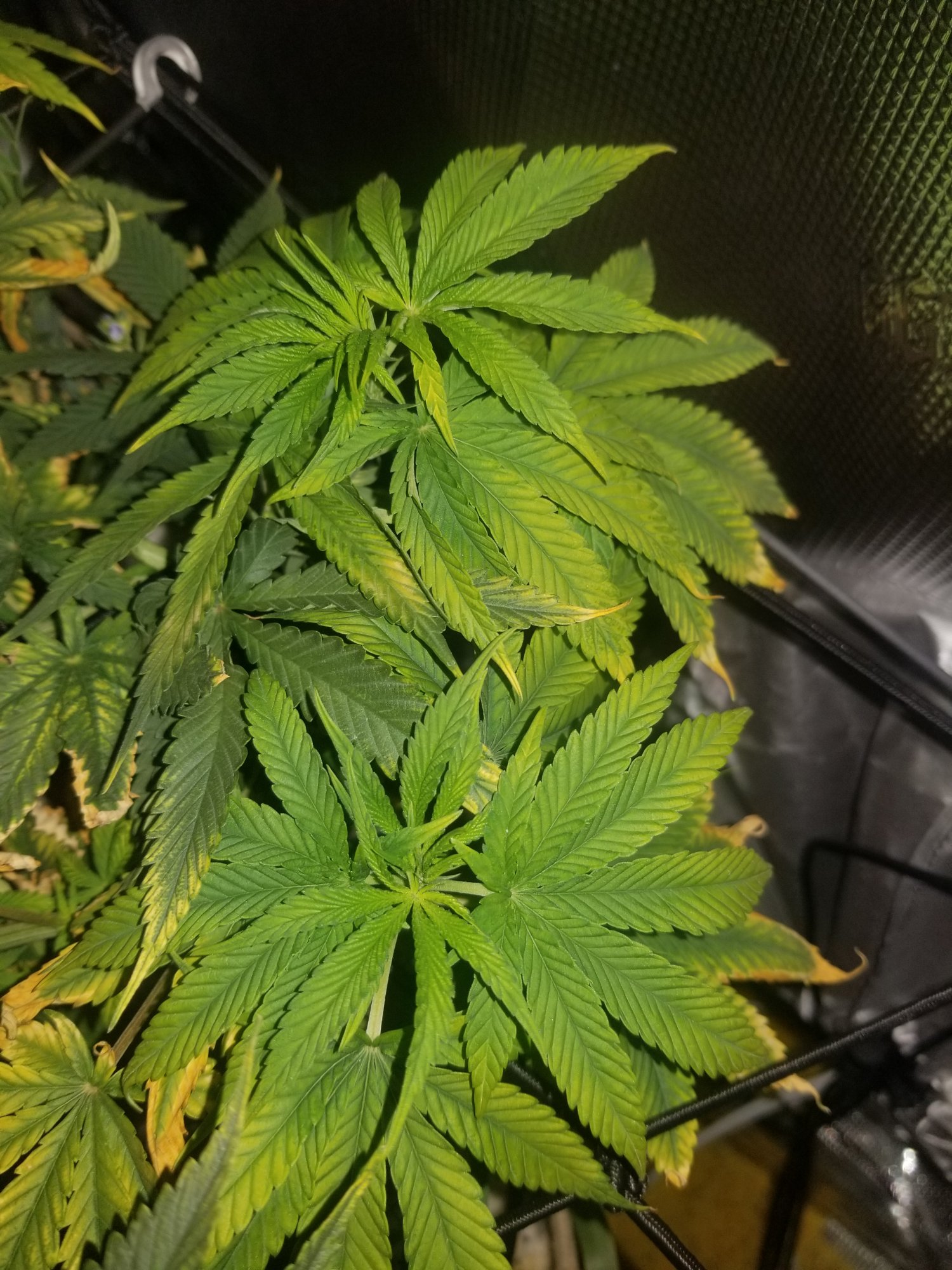 Help identify problem please photos attached 4