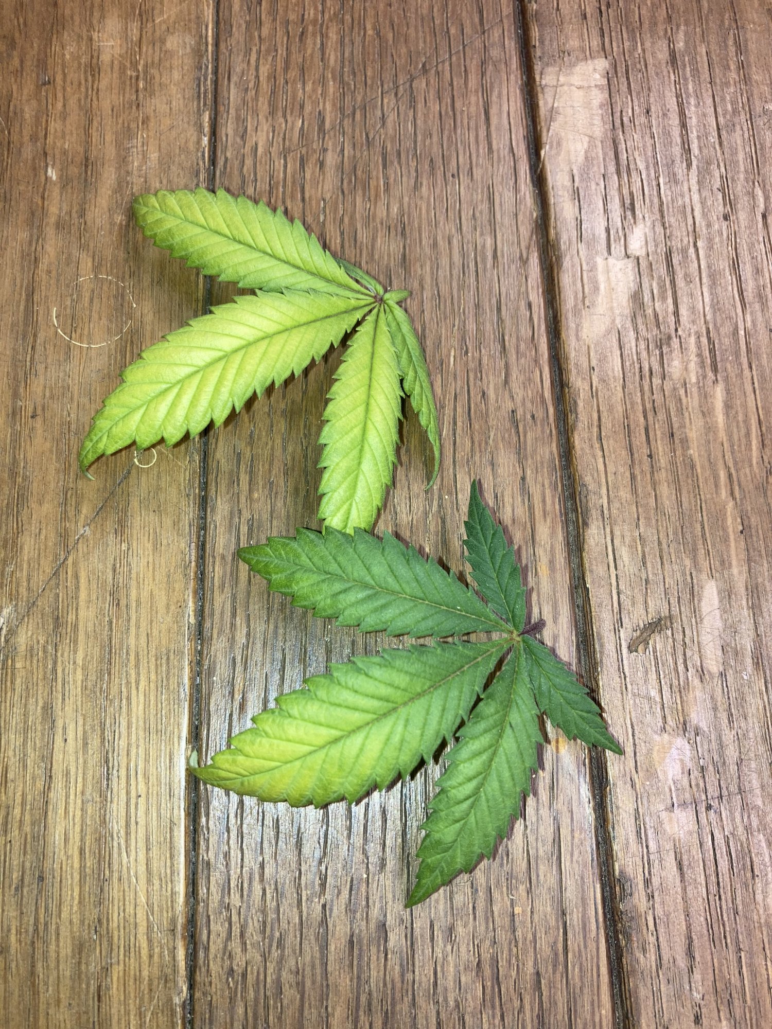 Help me pinpoint which deficiency problem 3