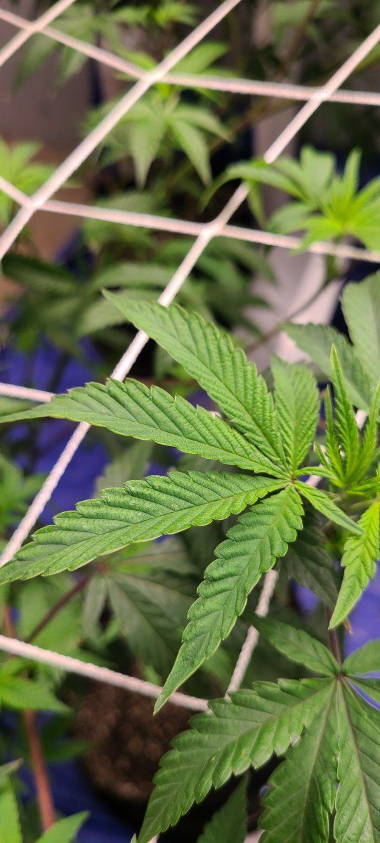 Help me please what wrong 4