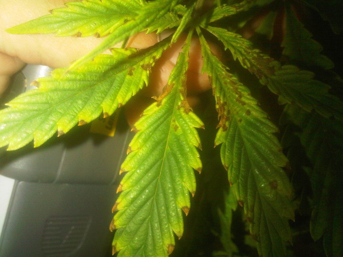 Help me with this deficiency 2