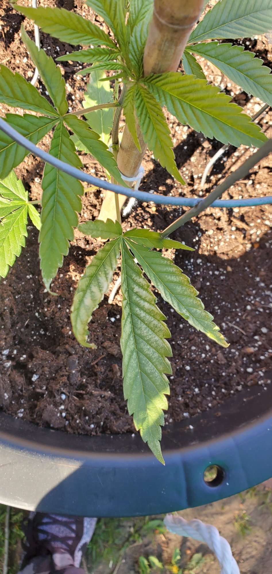 Help need info 3