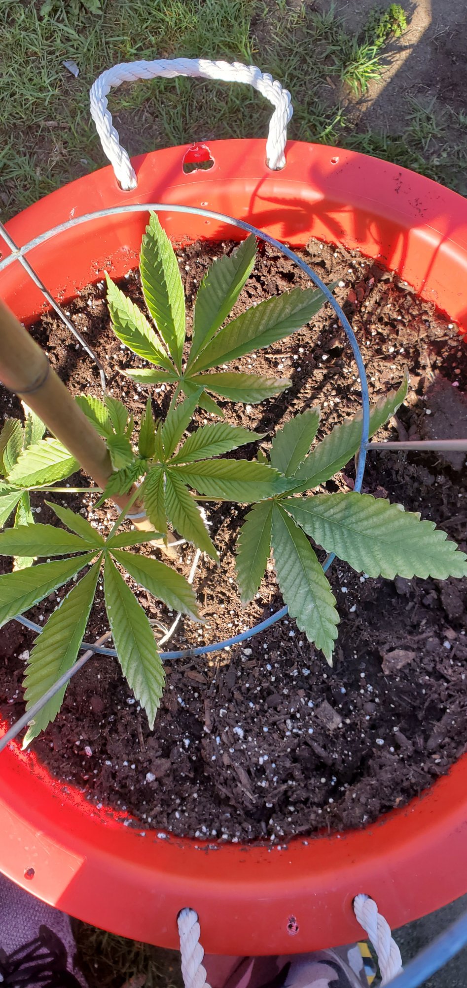 Help need info 6