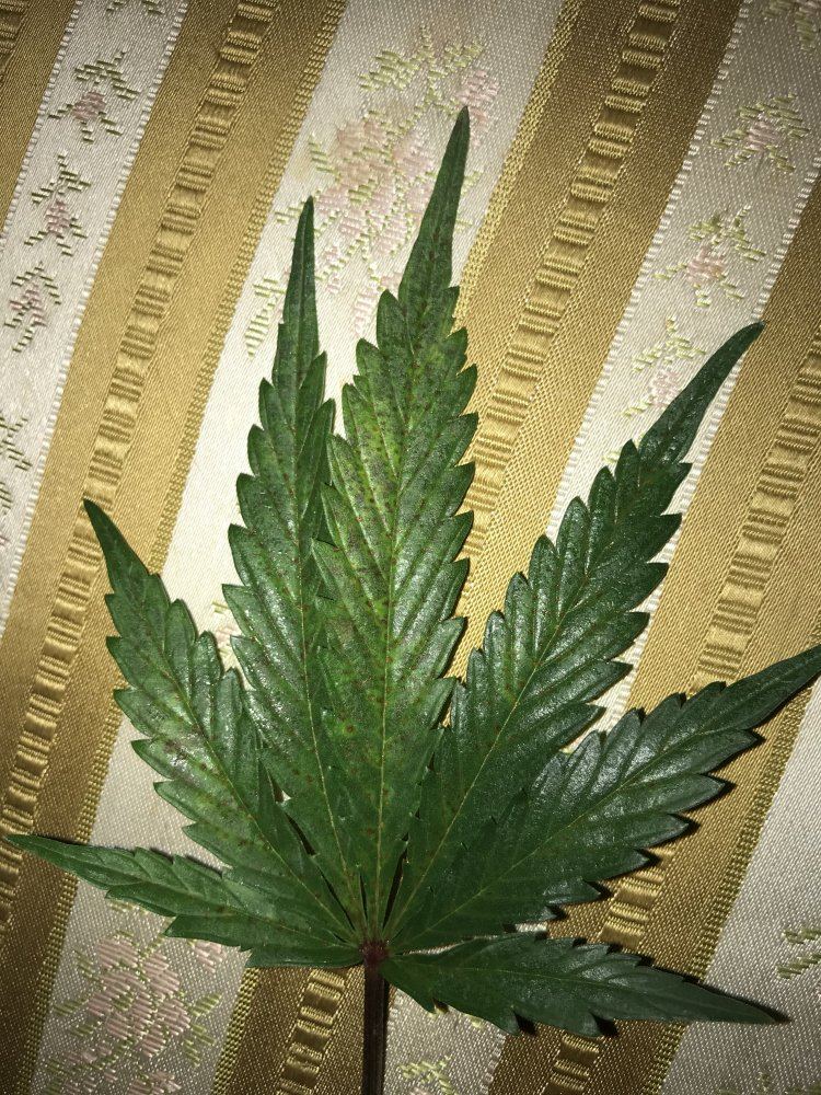 Help not the first time 3