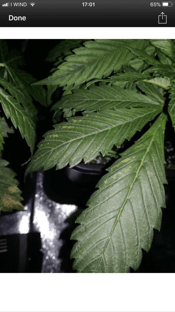 Help with deficiency