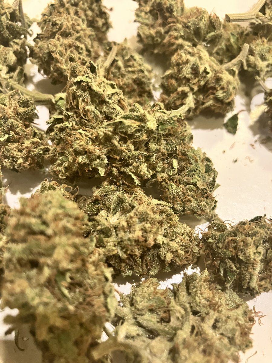 Help with lights 1st indoor grow journal 4