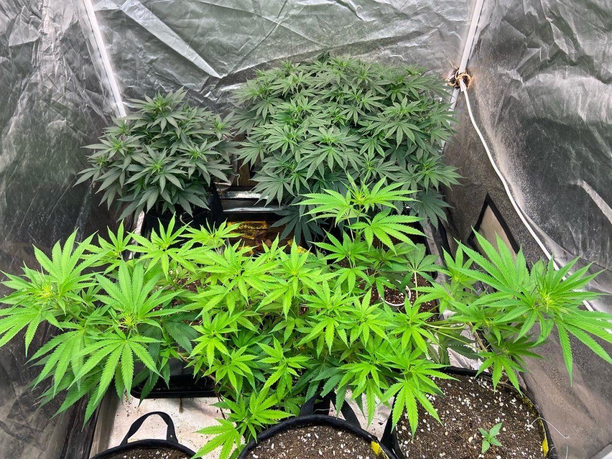 Help with my set up 3