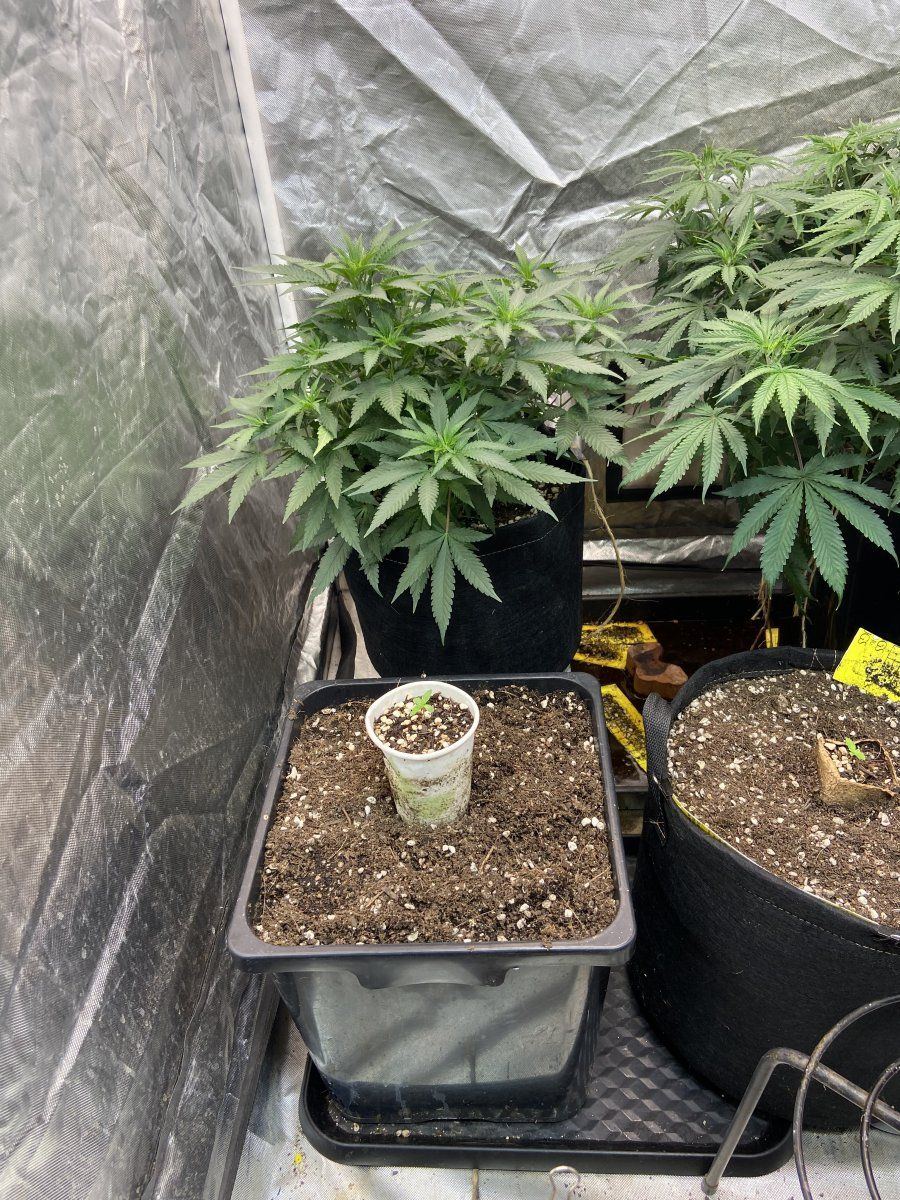 Help with my set up 6