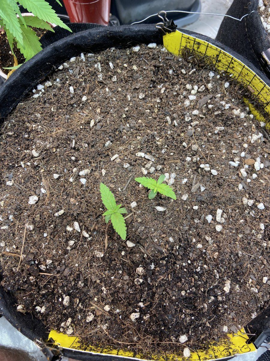 Help with my set up 7