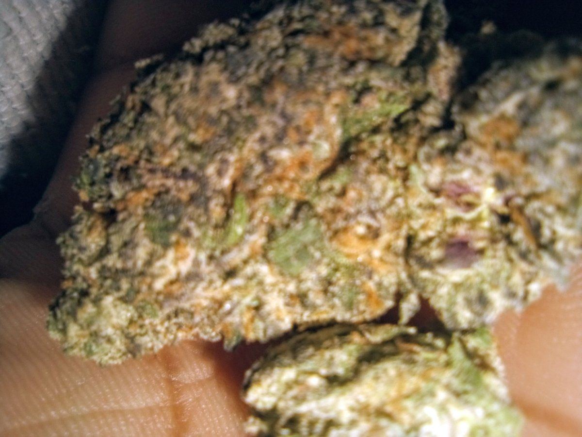 Helpcan anyone name this strain 3