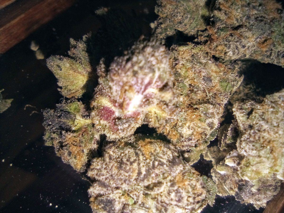 Helpcan anyone name this strain