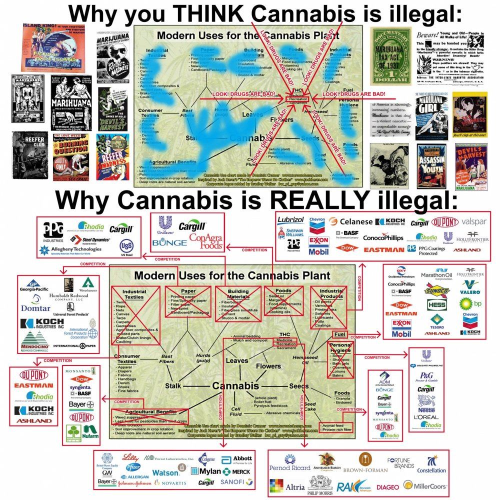 Hemp chart